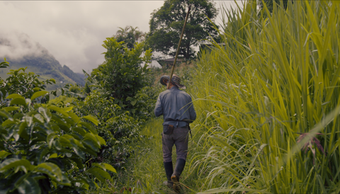 Kawa Kolumbia Excelso